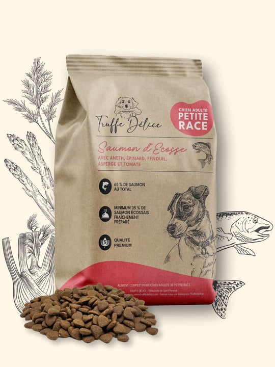 Croquettes petit chien adulte - Saumon d'Écosse