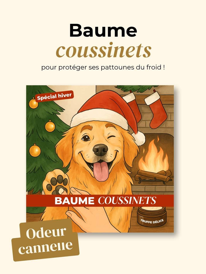 Box de Noël 🐶