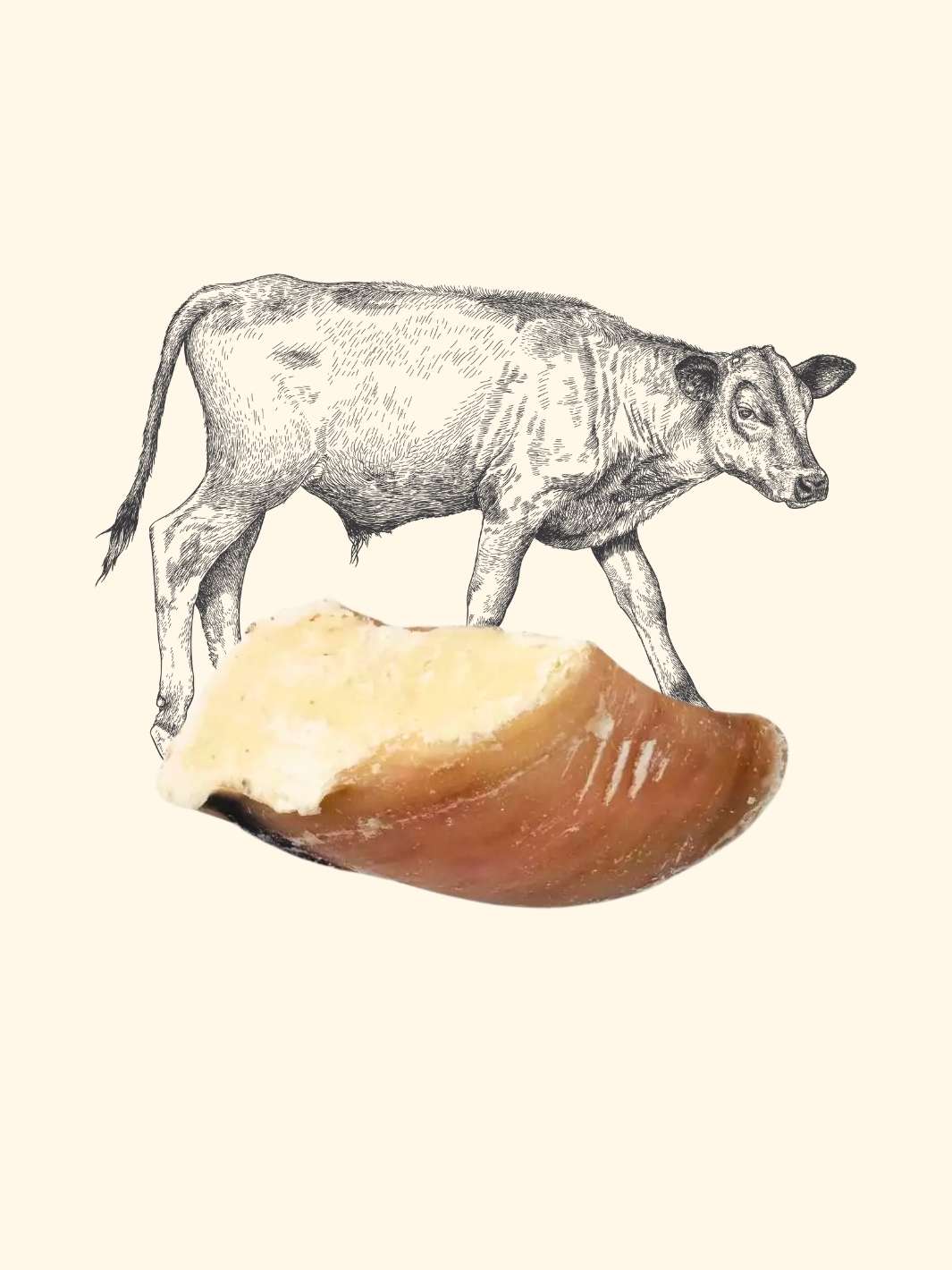 Sabot de veau garni