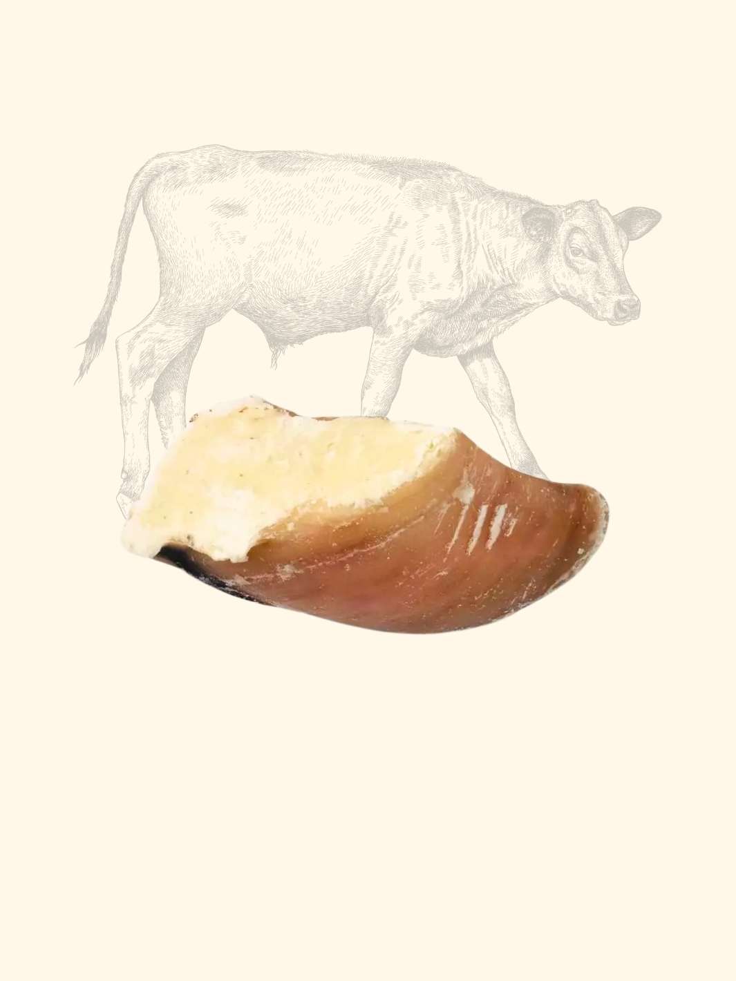 Sabot de veau garni