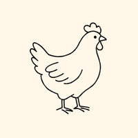 Saveur foie de poulet