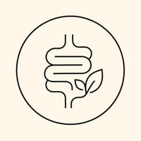 Équilibre de la flore intestinale