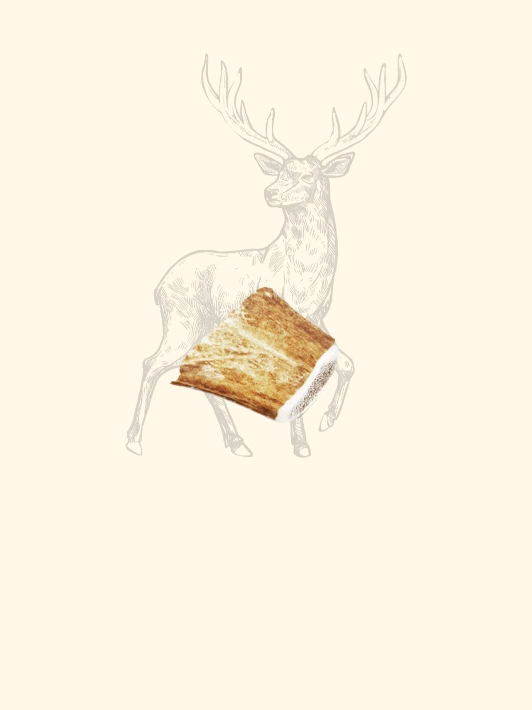 Bois de daim