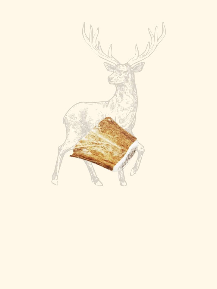 Bois de daim