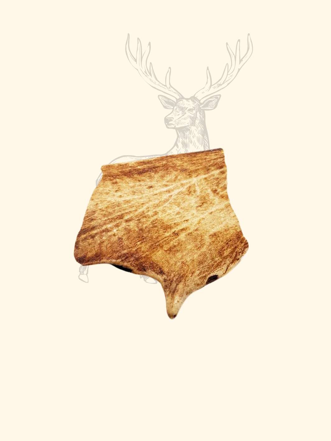 Bois de daim