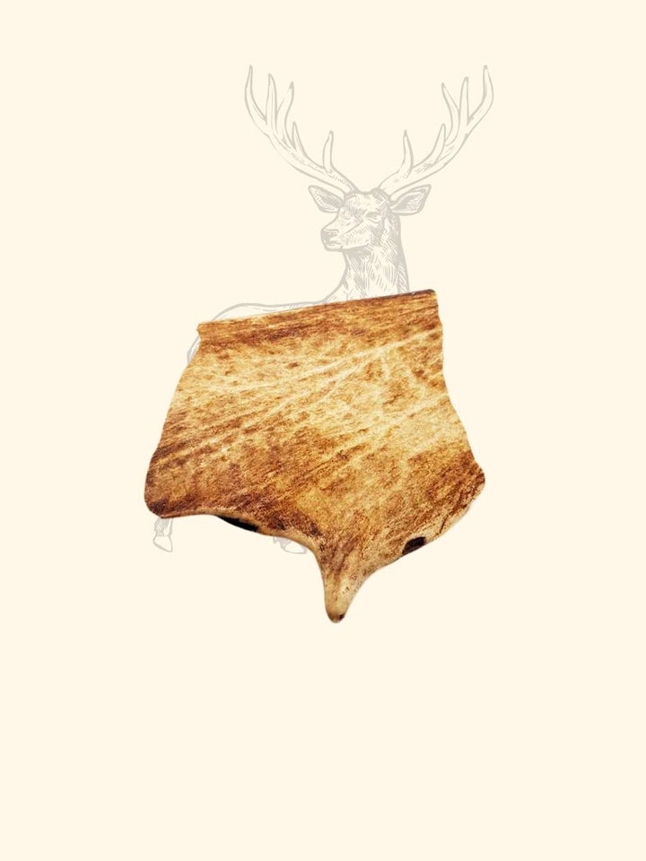 Bois de daim