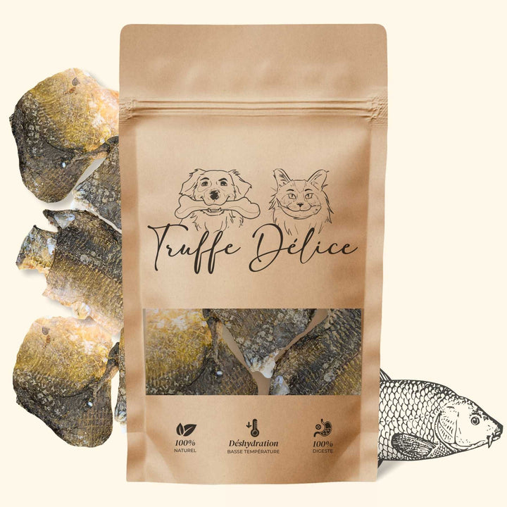 Chips de carpe
