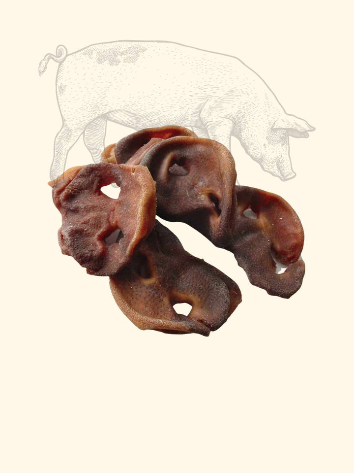 Groin de cochon