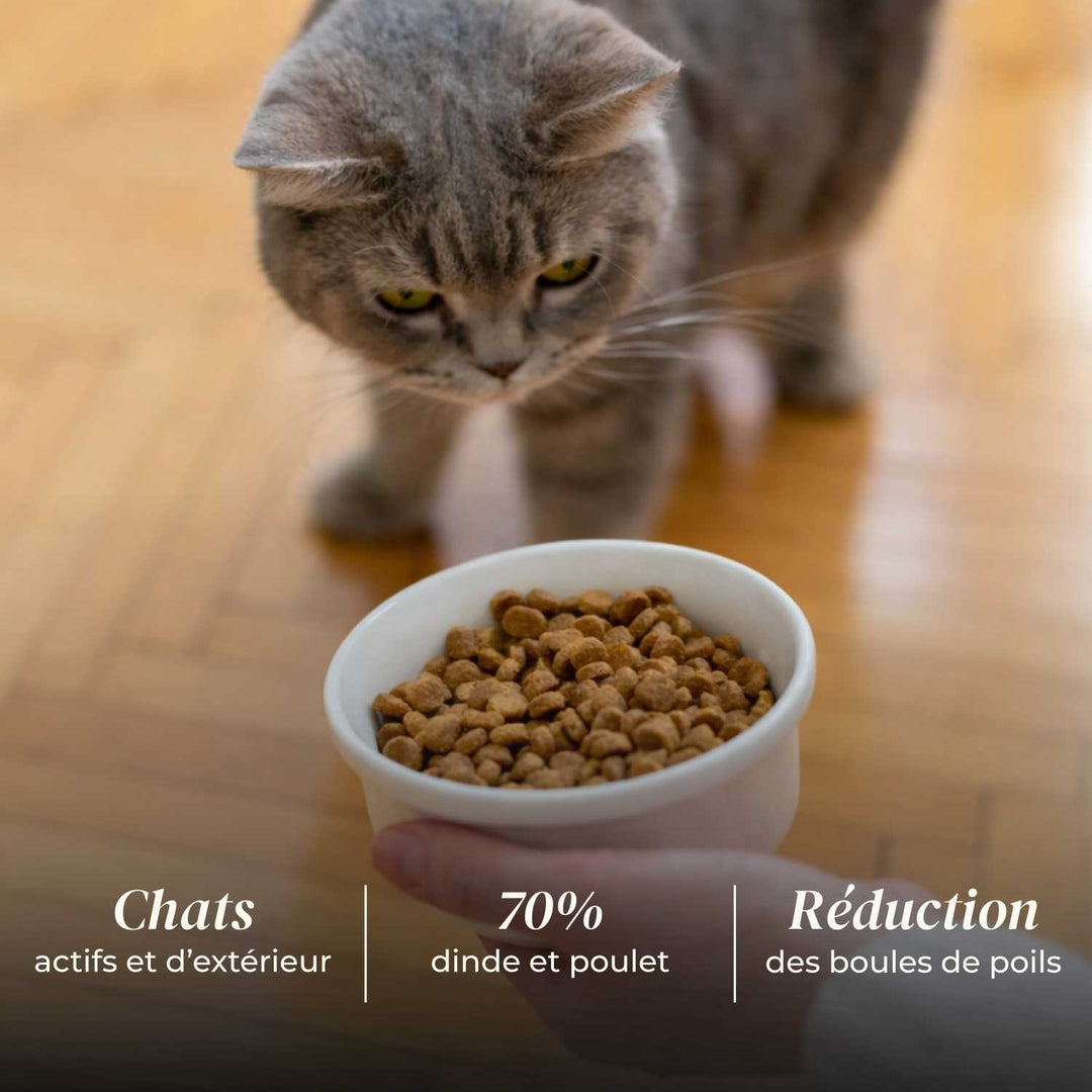 Croquettes Chat Adulte – Dinde & Poulet