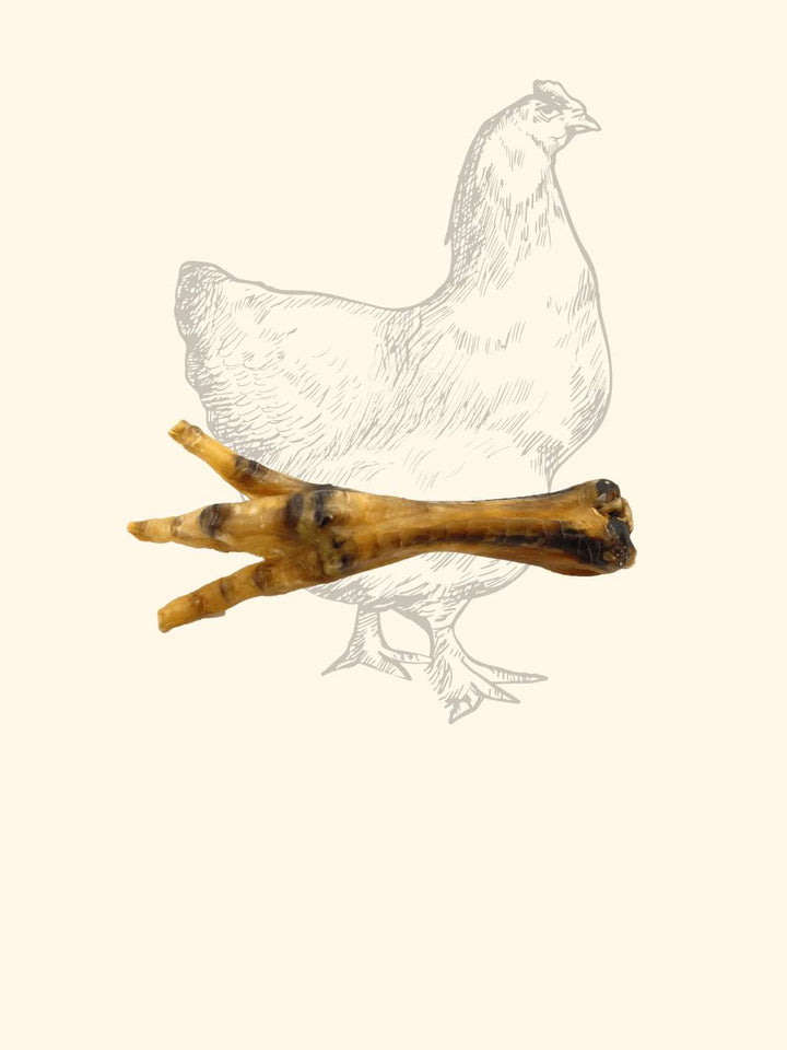 Pattes de poulet