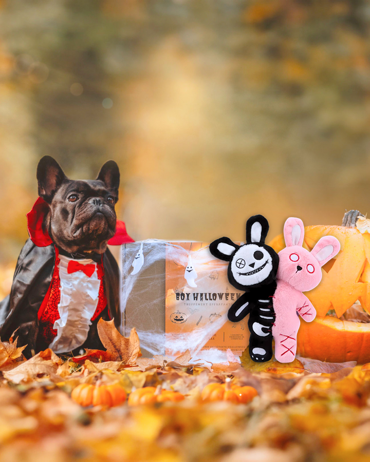 Coffret Halloween