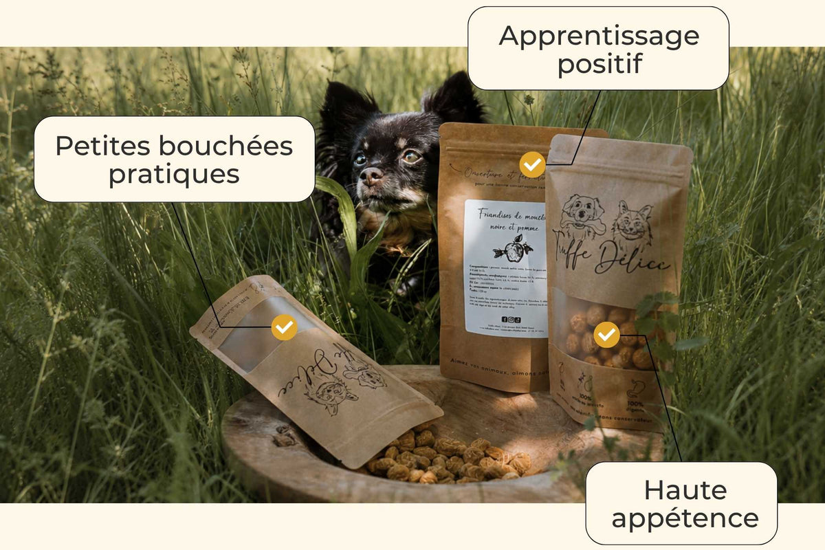 Friandises criquets