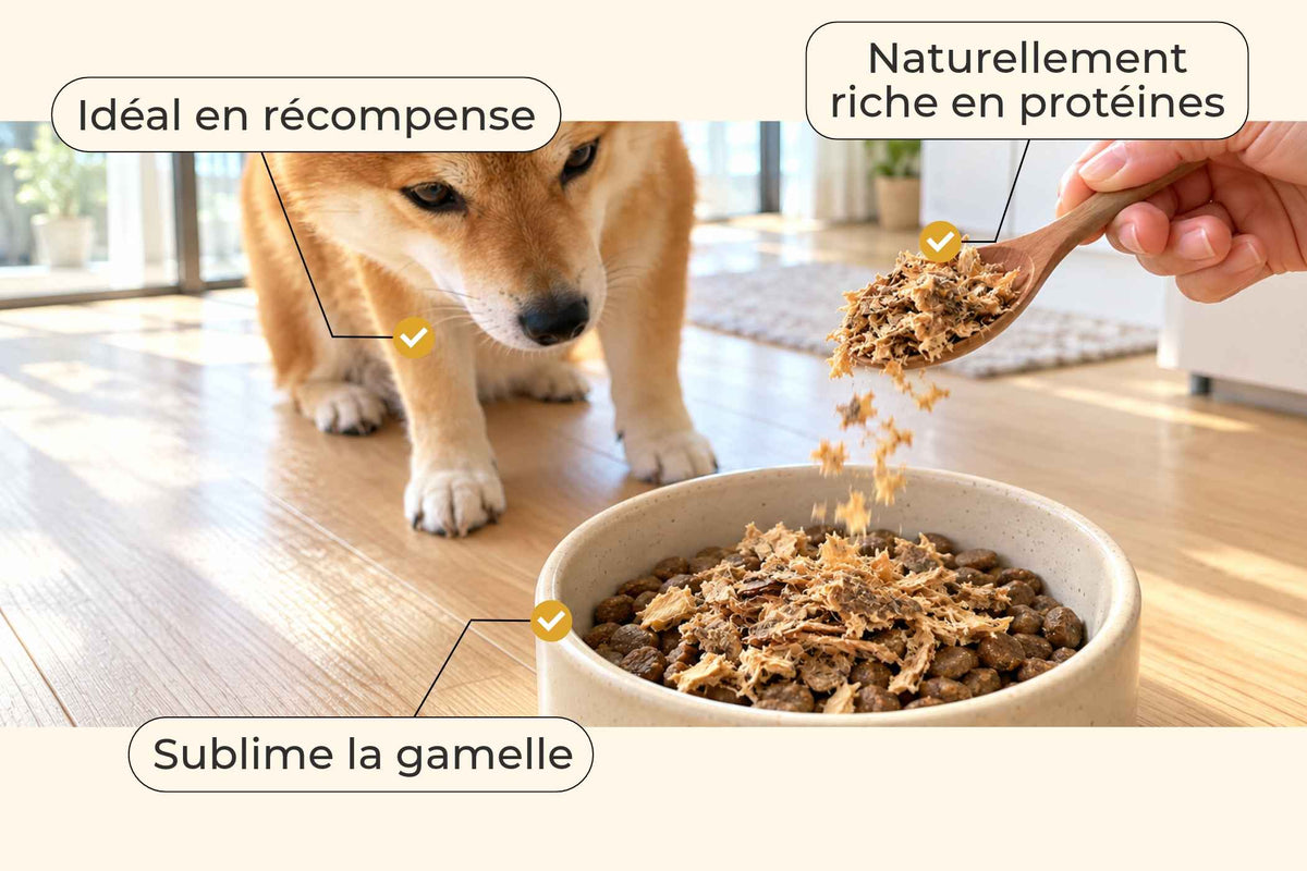 Topping de bœuf haché