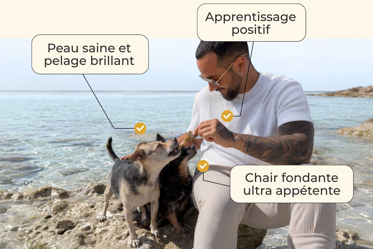 Morceaux de saumon à la chair fondante