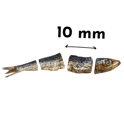 Sprats