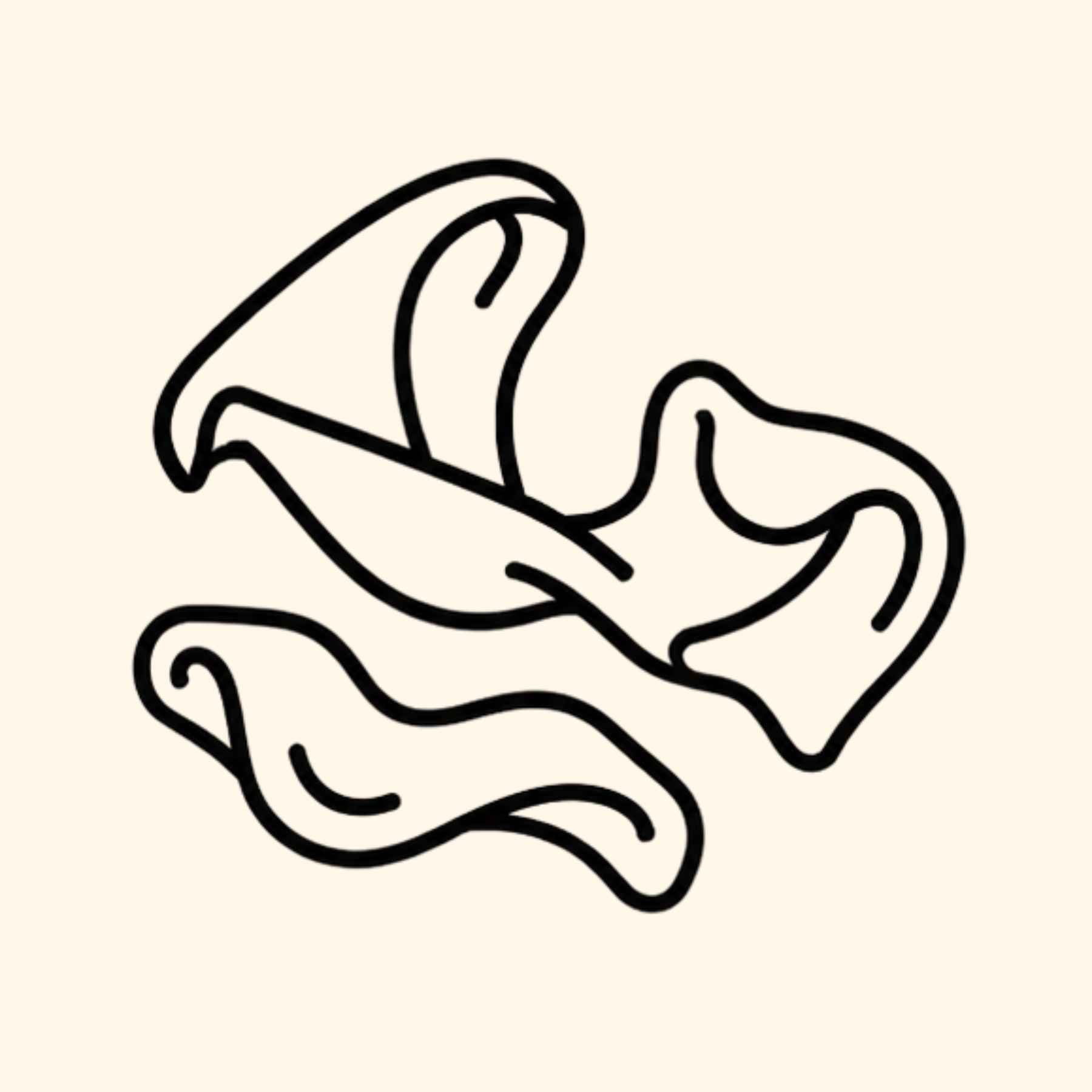 Oméga 3