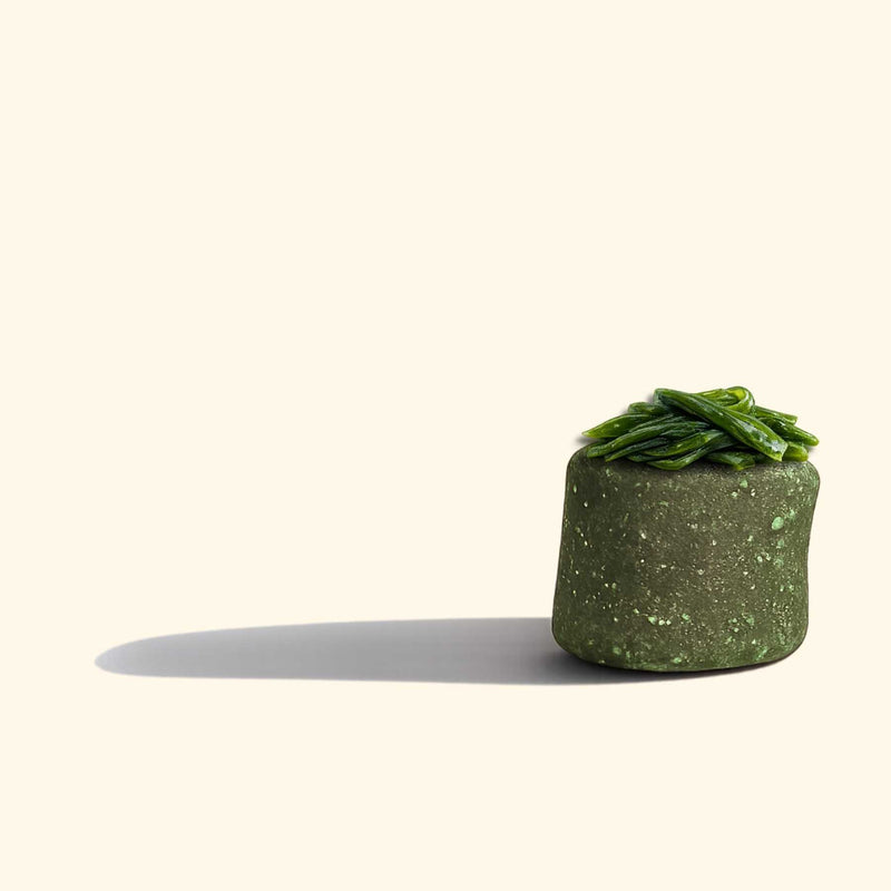 Spiruline chien