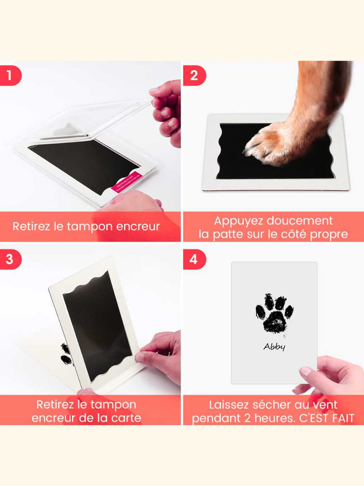 Kit d'empreinte chien & chat