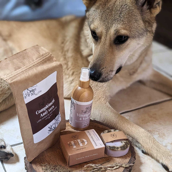 Antiparasitaire chien - friandise_naturelle_pour_chien - TRUFFE DÉLICE