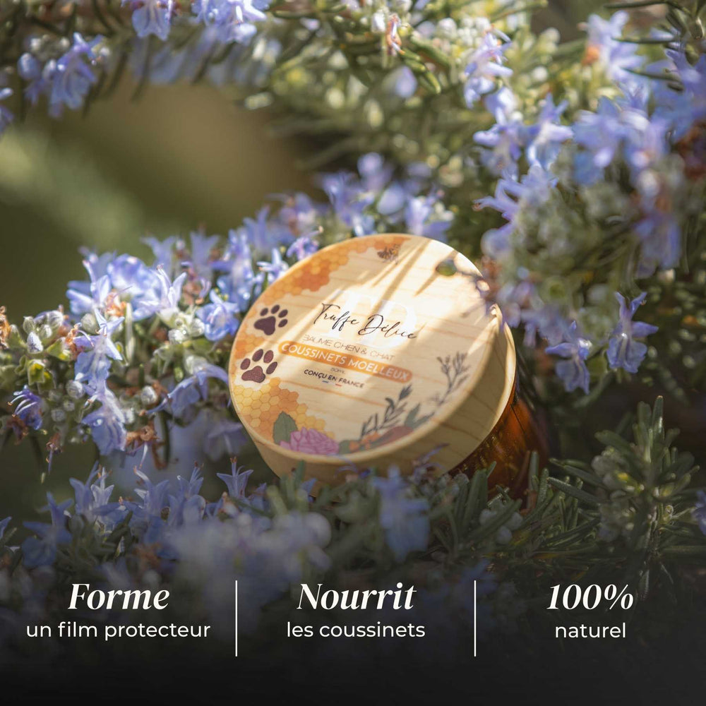 Baume coussinets moelleux - friandise_naturelle_pour_chien - TRUFFE DÉLICE
