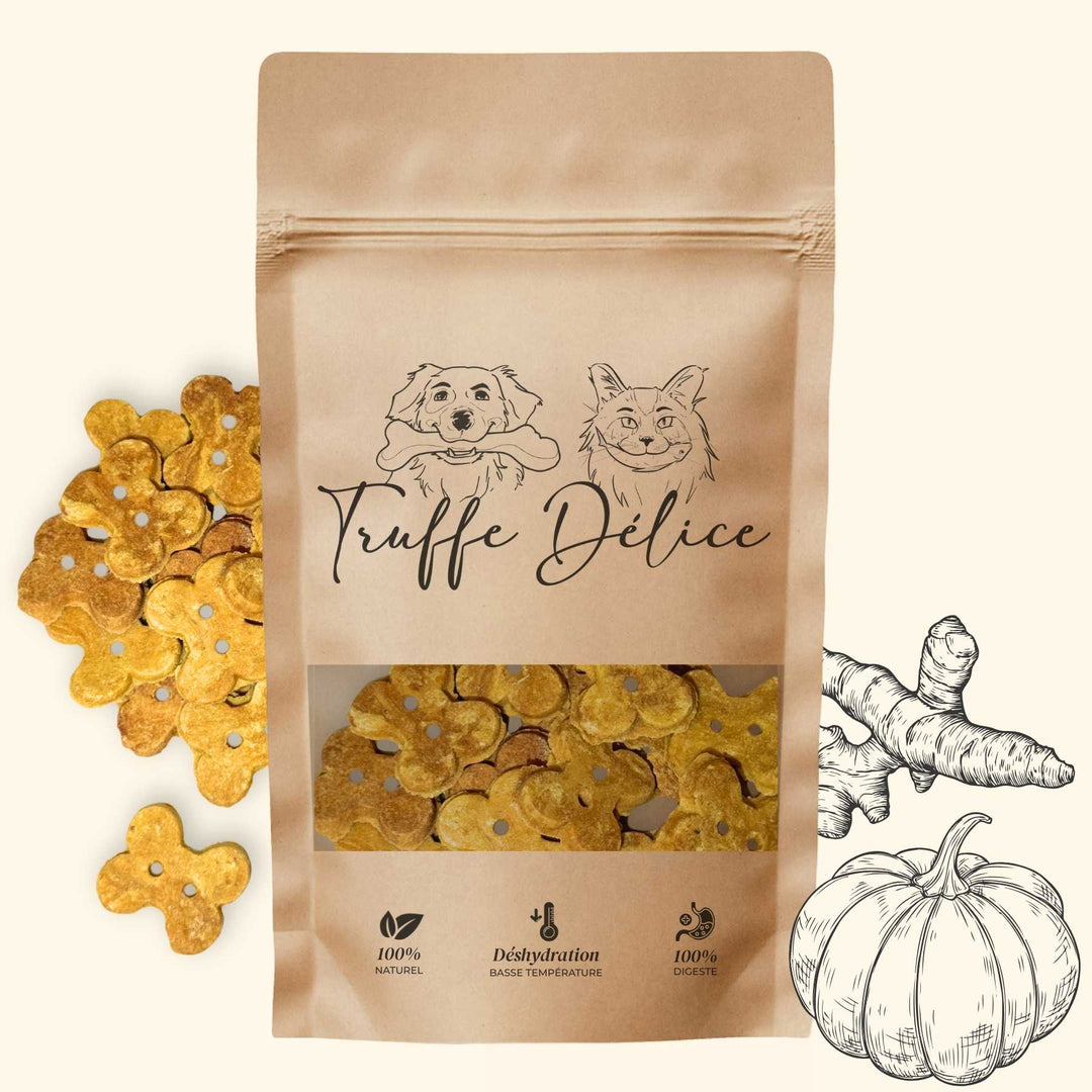 Biscuits citrouille & curcuma - friandise_naturelle_pour_chien - TRUFFE DÉLICE