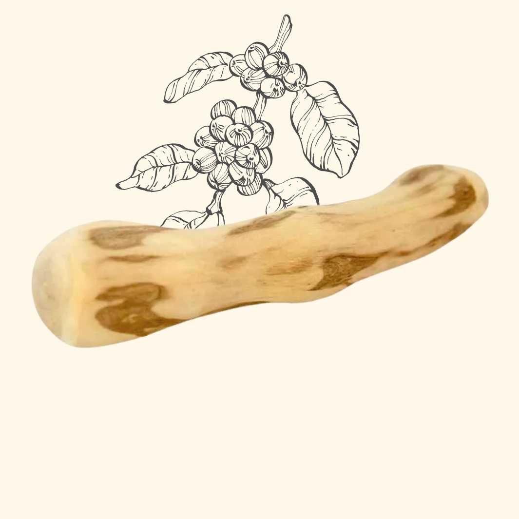Bois de cafeier - friandise_naturelle_pour_chien - TRUFFE DÉLICE