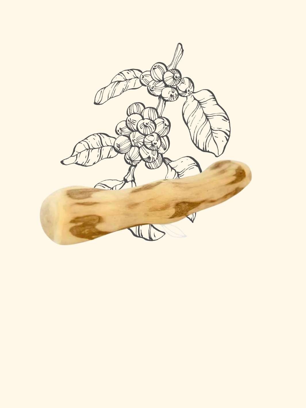 Bois de cafeier - friandise_naturelle_pour_chien - TRUFFE DÉLICE