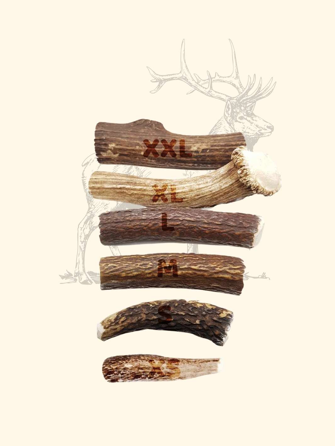 Bois de cerf chien - friandise_naturelle_pour_chien - TRUFFE DÉLICE