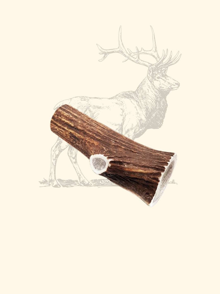 Bois de cerf chien - friandise_naturelle_pour_chien - TRUFFE DÉLICE