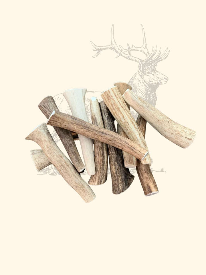 Bois de cerf chien - friandise_naturelle_pour_chien - TRUFFE DÉLICE