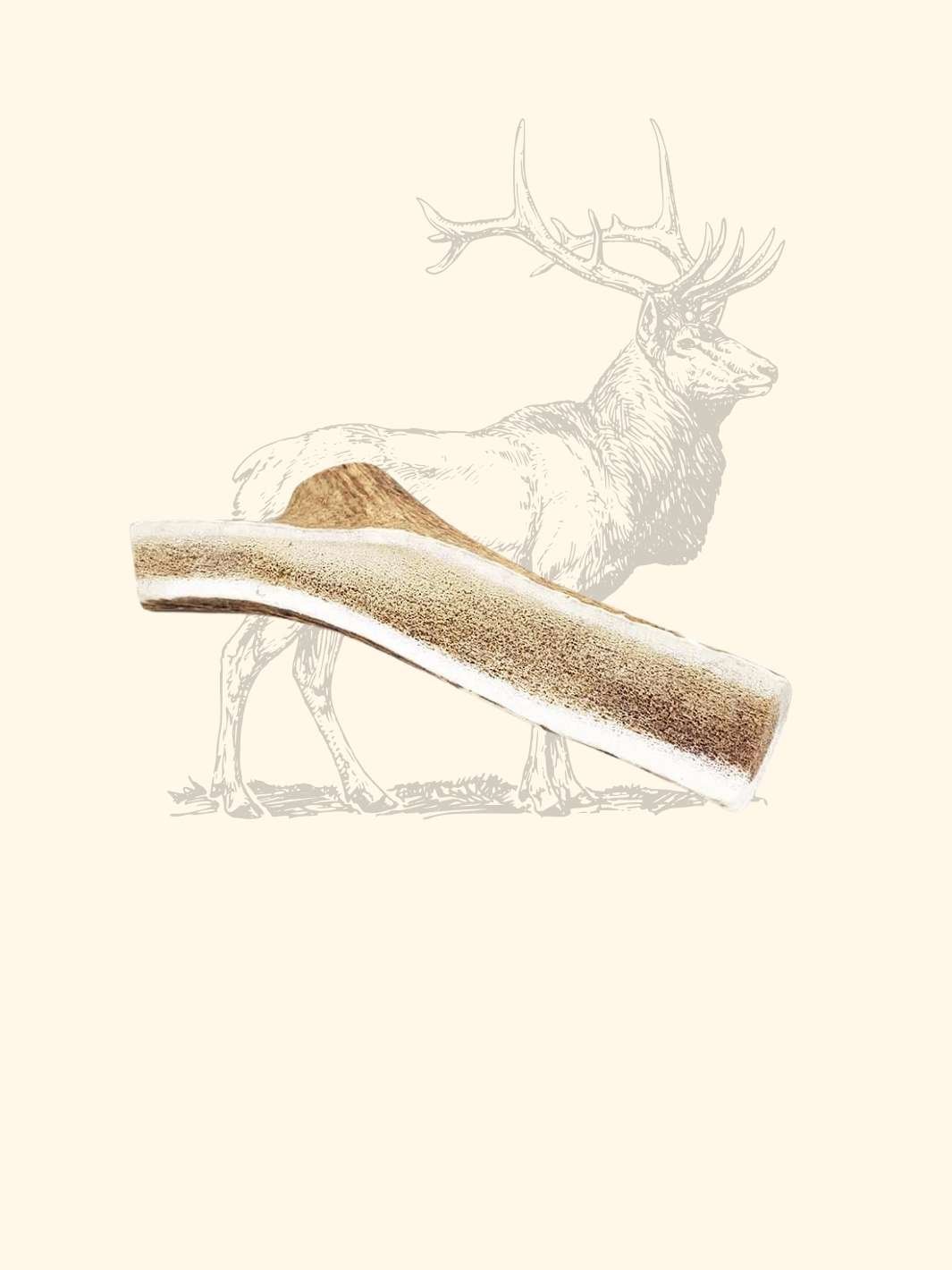 Bois de cerf tranché chien - friandise_naturelle_pour_chien - TRUFFE DÉLICE