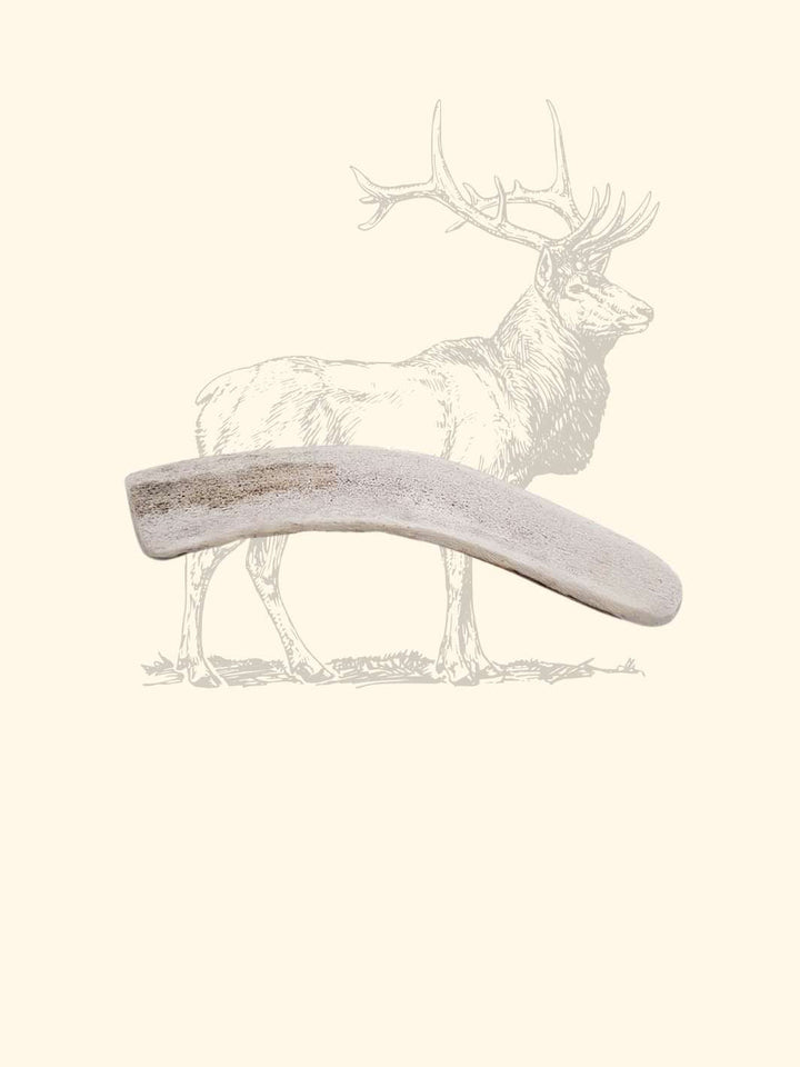 Bois de cerf tranché chien - friandise_naturelle_pour_chien - TRUFFE DÉLICE