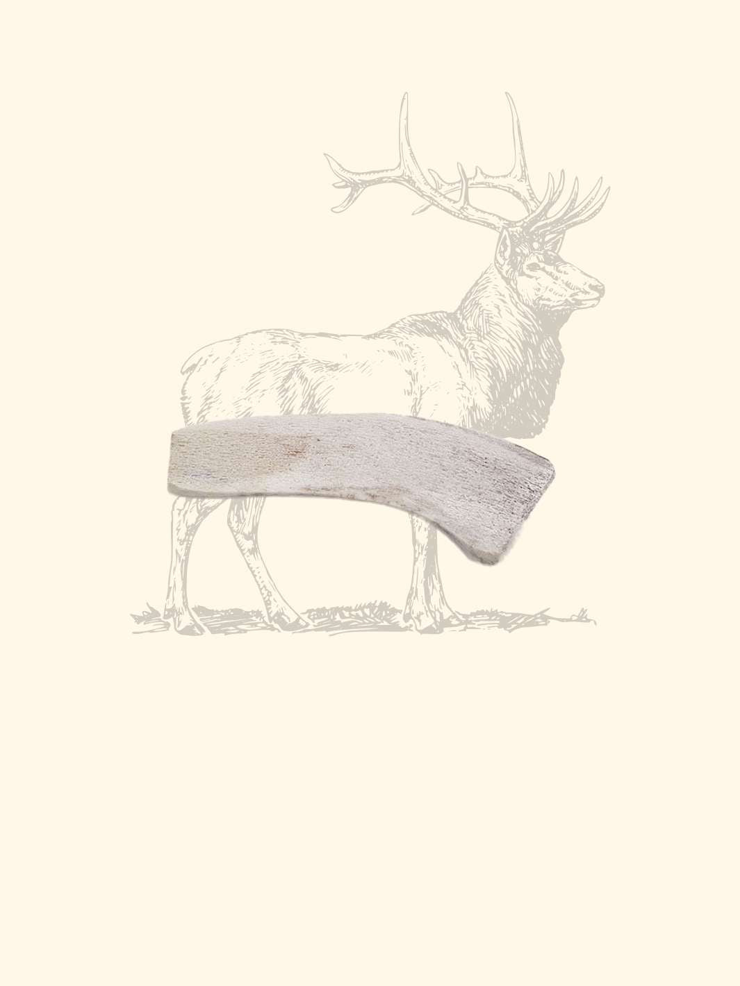 Bois de cerf tranché chien - friandise_naturelle_pour_chien - TRUFFE DÉLICE