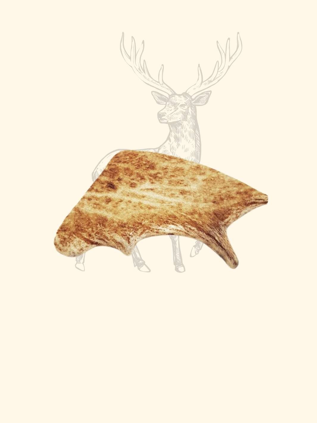Bois de daim - friandise_naturelle_pour_chien - TRUFFE DÉLICE