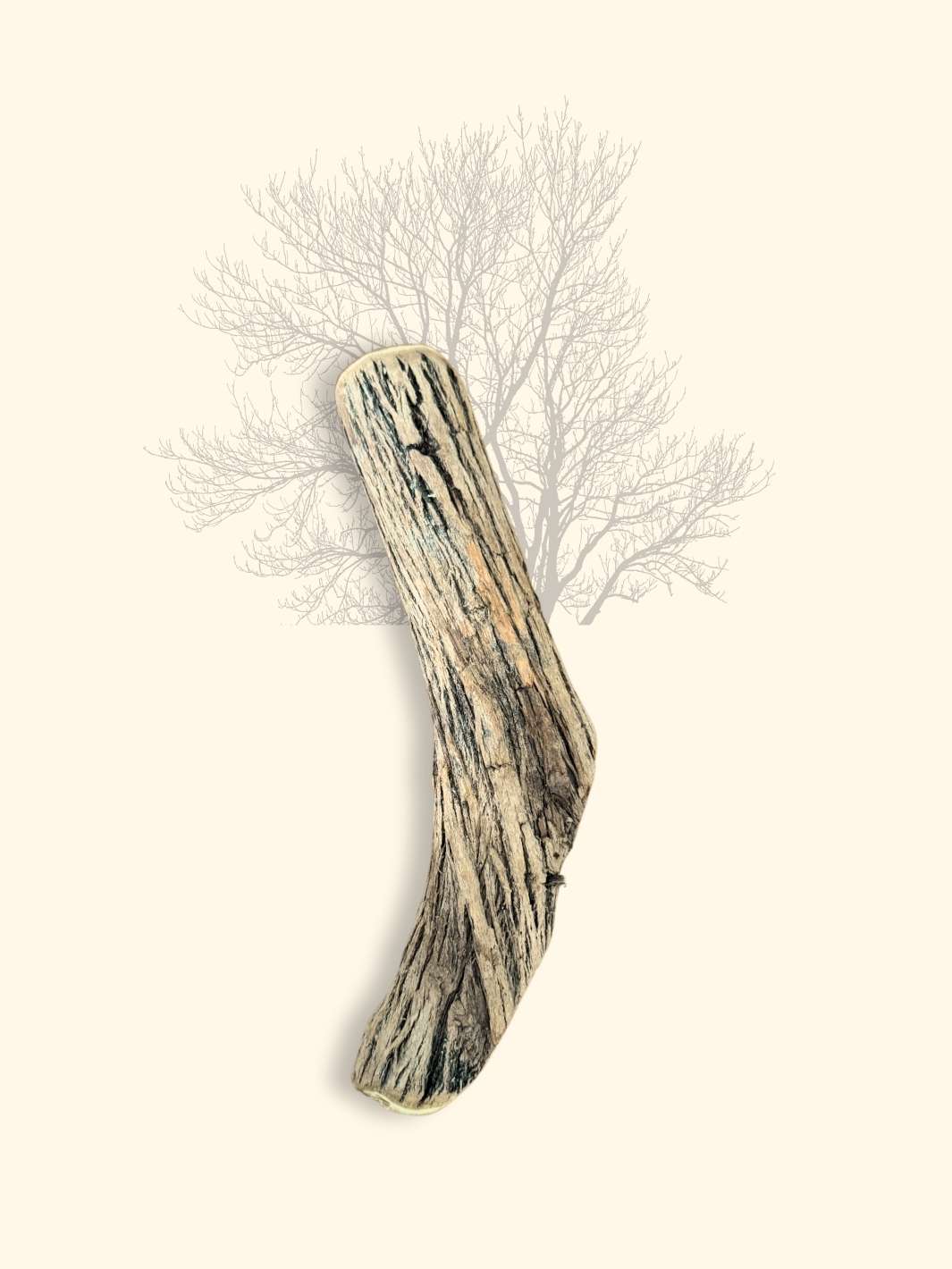 Bois de Sekelbos - friandise_naturelle_pour_chien - TRUFFE DÉLICE