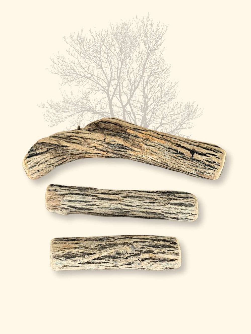 Bois de Sekelbos - friandise_naturelle_pour_chien - TRUFFE DÉLICE
