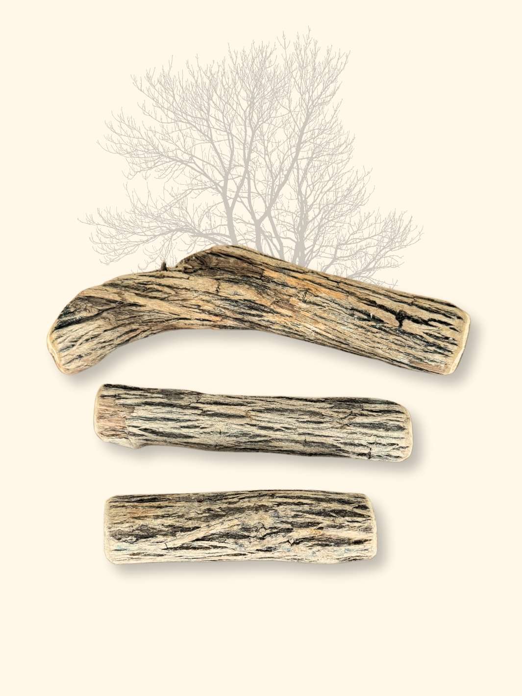Bois de Sekelbos - friandise_naturelle_pour_chien - TRUFFE DÉLICE