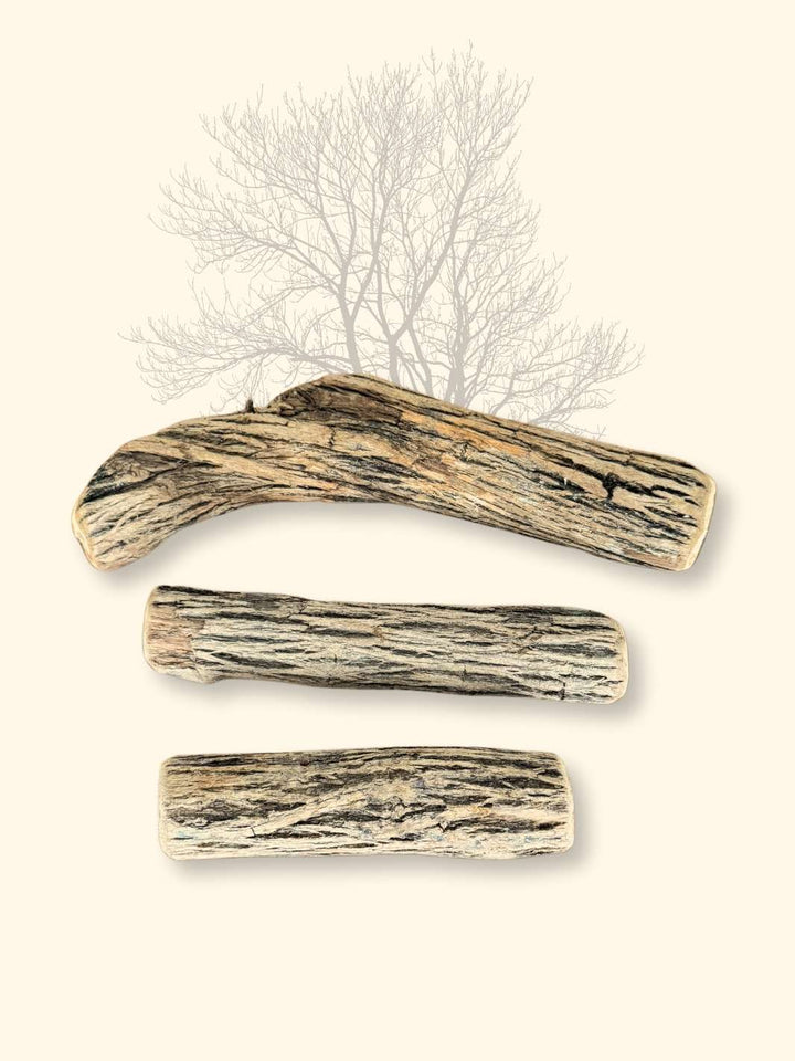 Bois de Sekelbos - friandise_naturelle_pour_chien - TRUFFE DÉLICE