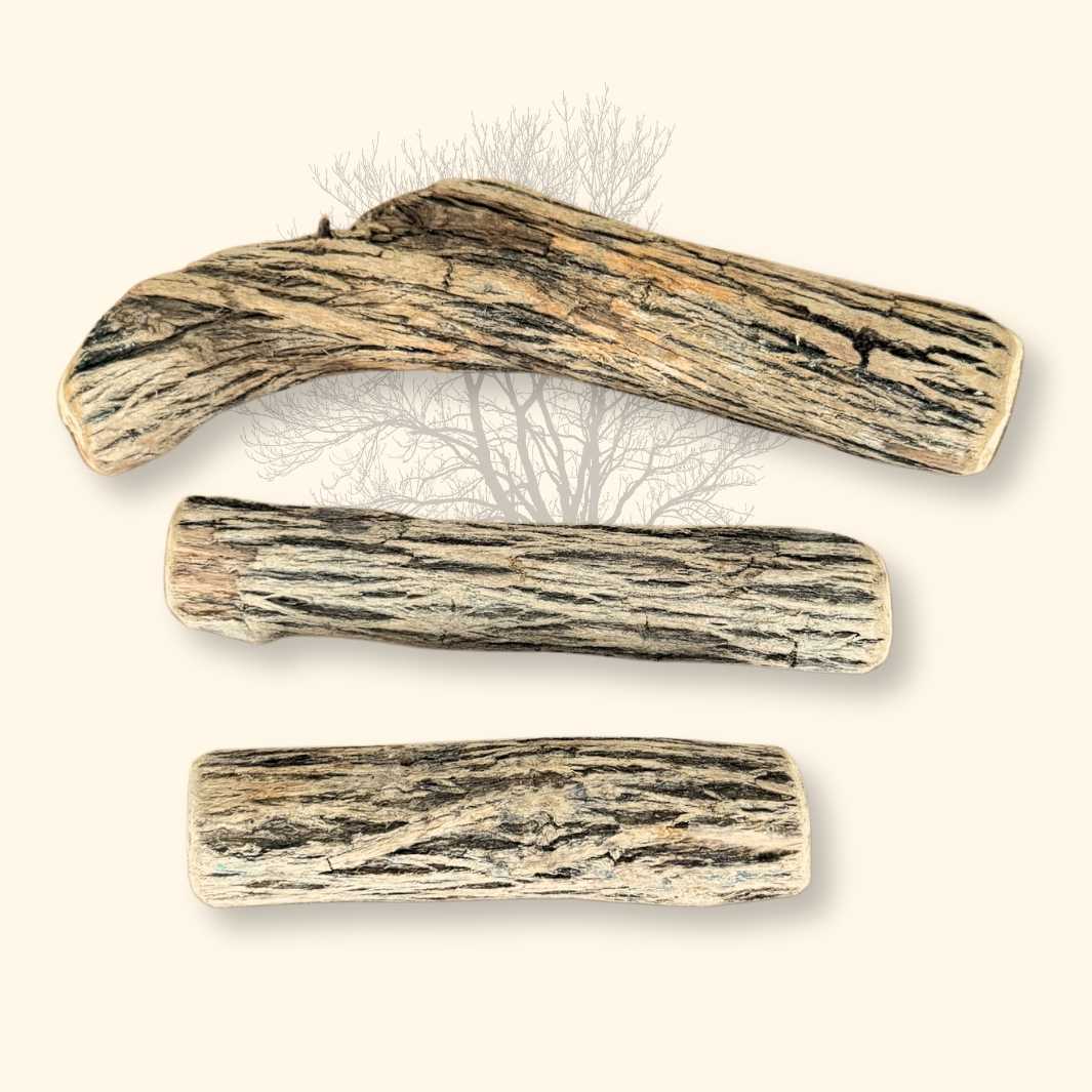 Bois de Sekelbos - friandise_naturelle_pour_chien - TRUFFE DÉLICE
