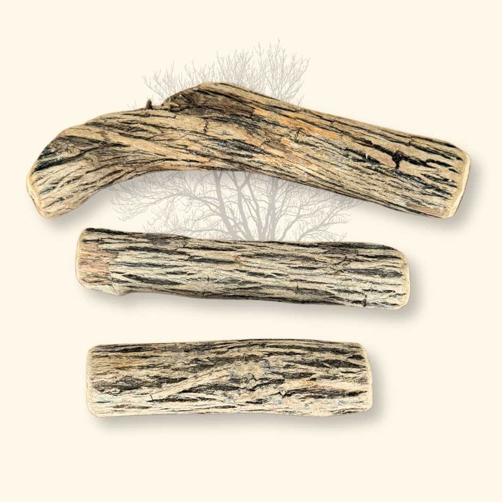 Bois de Sekelbos - friandise_naturelle_pour_chien - TRUFFE DÉLICE