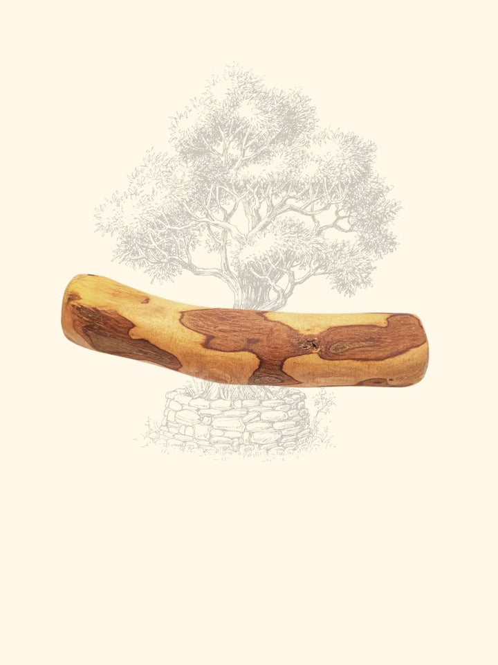 Bois d'olivier - friandise_naturelle_pour_chien - TRUFFE DÉLICE