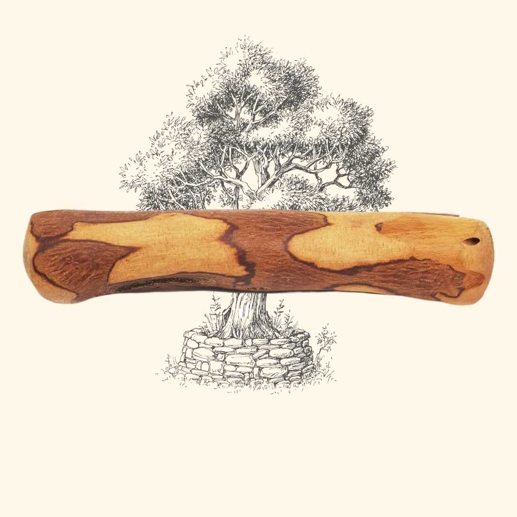 Bois d'olivier - friandise_naturelle_pour_chien - TRUFFE DÉLICE