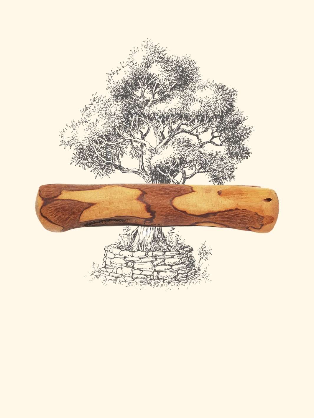 Bois d'olivier - friandise_naturelle_pour_chien - TRUFFE DÉLICE
