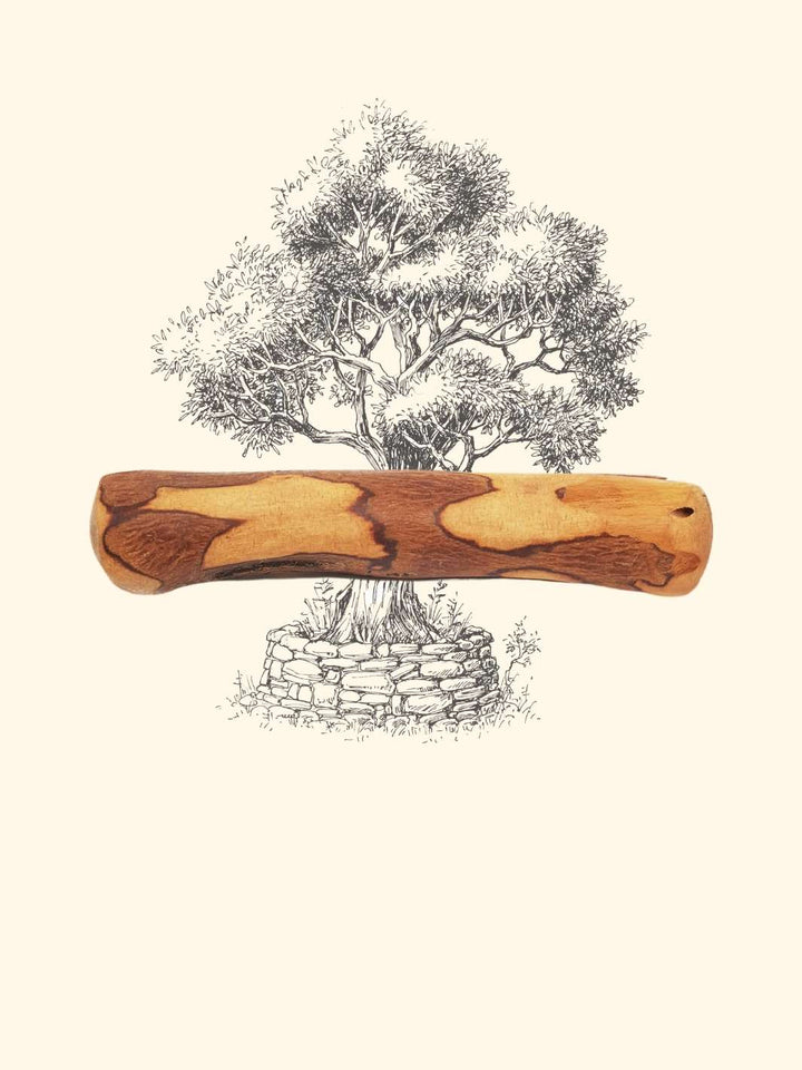 Bois d'olivier - friandise_naturelle_pour_chien - TRUFFE DÉLICE