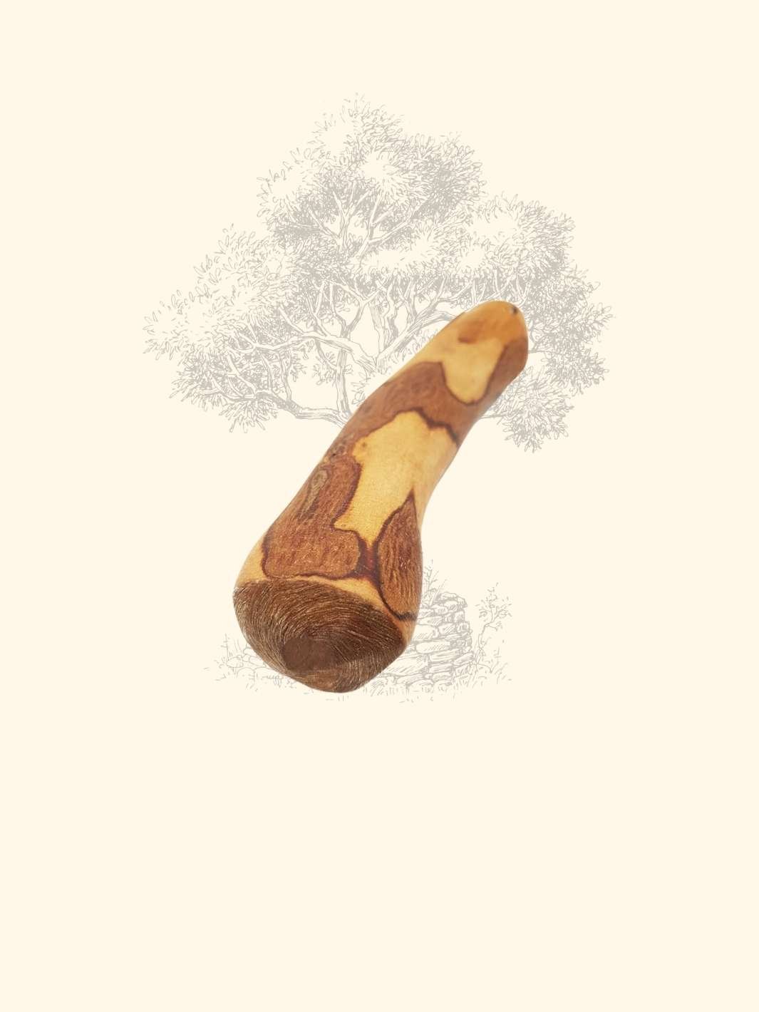 Bois d'olivier - friandise_naturelle_pour_chien - TRUFFE DÉLICE