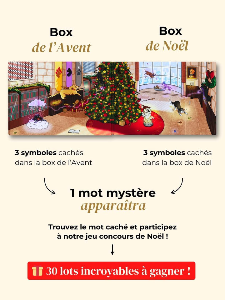 Box de Noël 🐶 - friandise_naturelle_pour_chien - TRUFFE DÉLICE