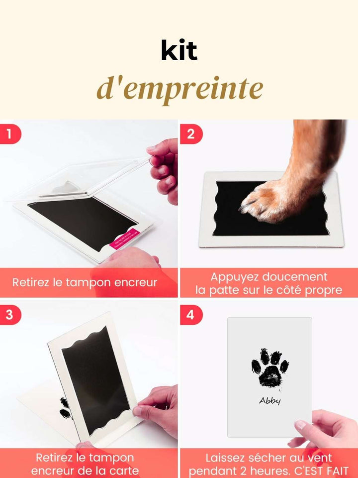 Box de Noël 🐶 - friandise_naturelle_pour_chien - TRUFFE DÉLICE