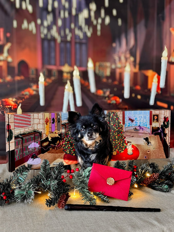 Box de Noël 🐶 - friandise_naturelle_pour_chien - TRUFFE DÉLICE