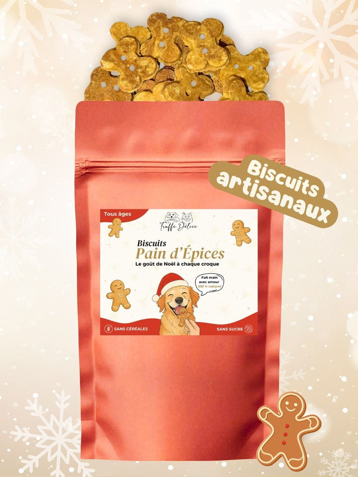 Box de Noël 🐶 - friandise_naturelle_pour_chien - TRUFFE DÉLICE