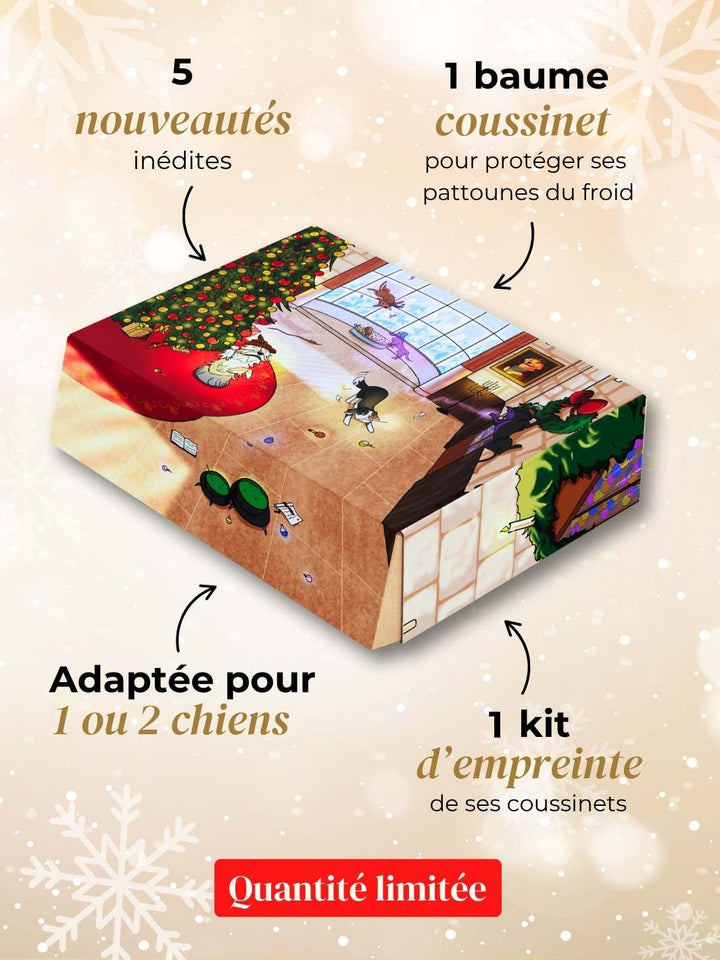 Box de Noël 🐶 - friandise_naturelle_pour_chien - TRUFFE DÉLICE